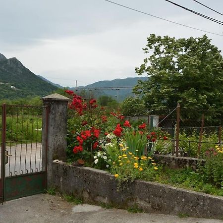 B&B Ana Virpazar Exteriör bild