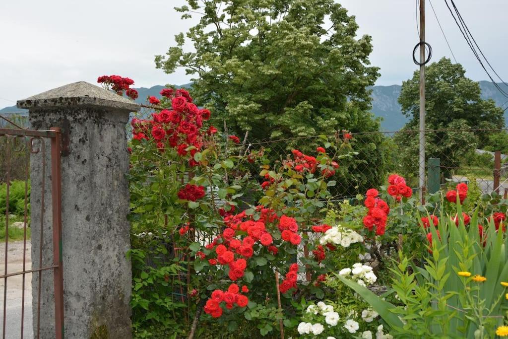 B&B Ana Virpazar Exteriör bild