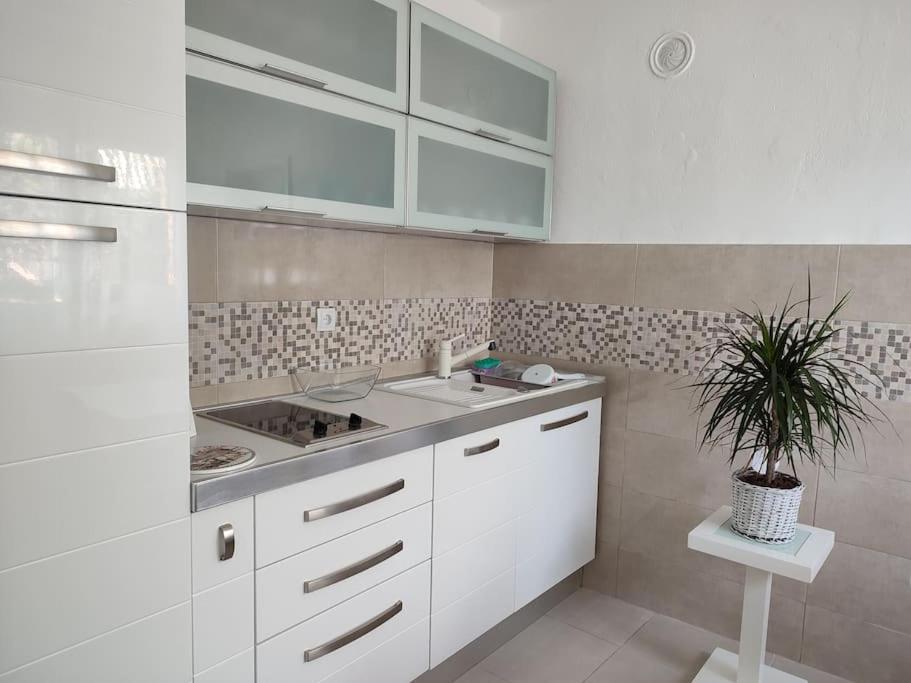 B&B Ana Virpazar Exteriör bild